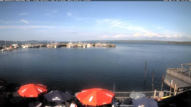 Digby Harbour