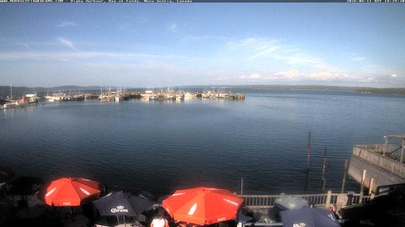 Digby Harbour