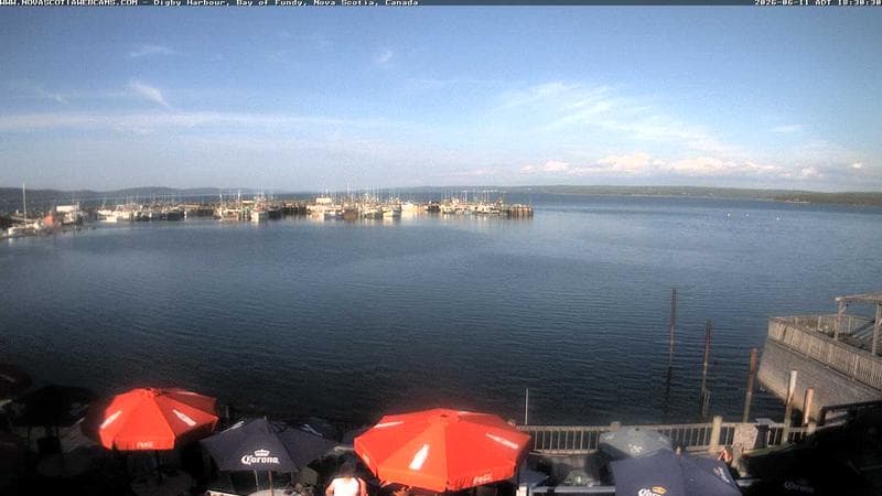 Digby Harbour