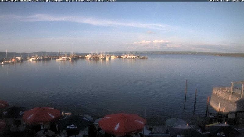 Digby Harbour