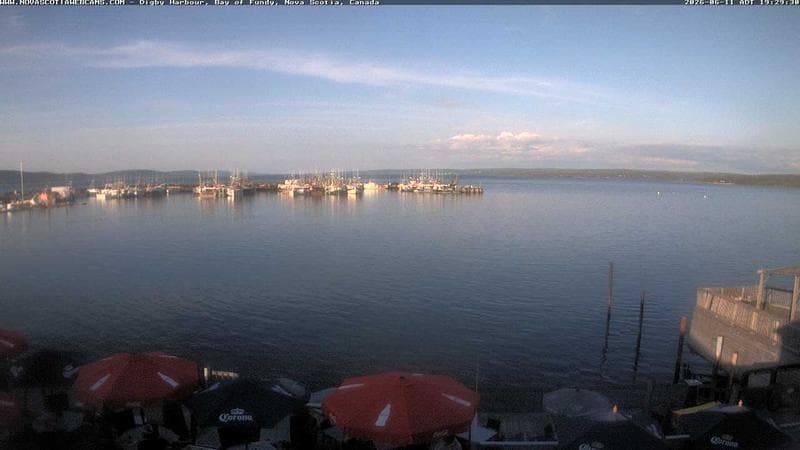 Digby Harbour
