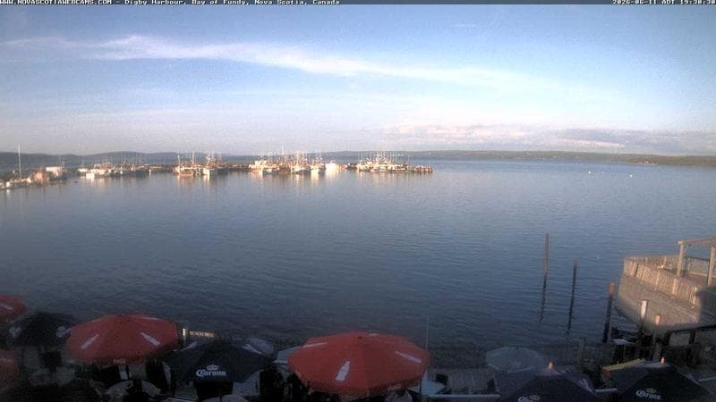 Digby Harbour