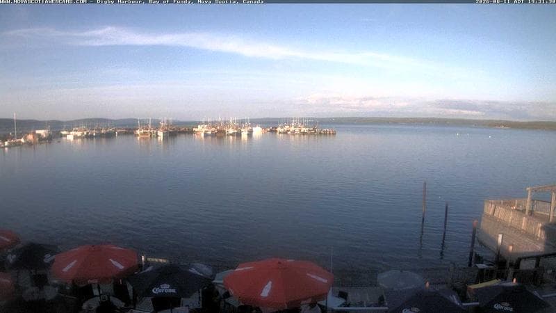 Digby Harbour
