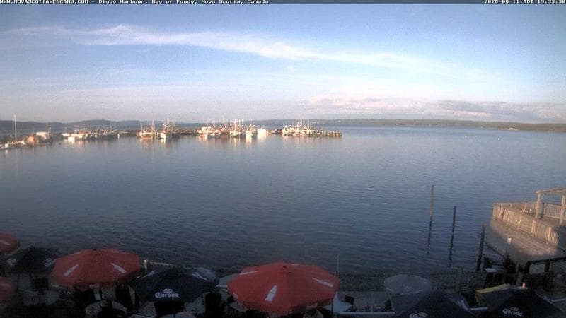 Digby Harbour