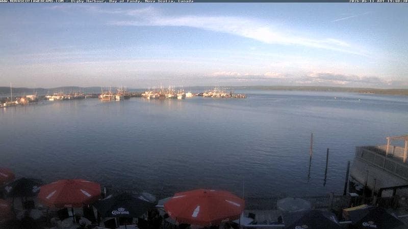 Digby Harbour