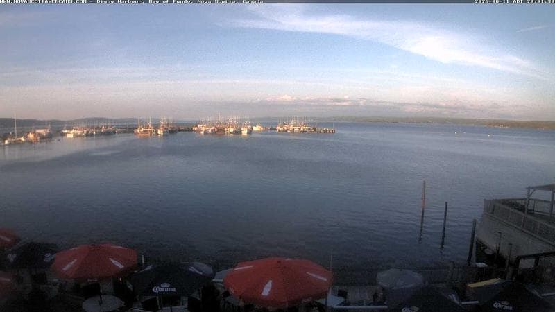 Digby Harbour