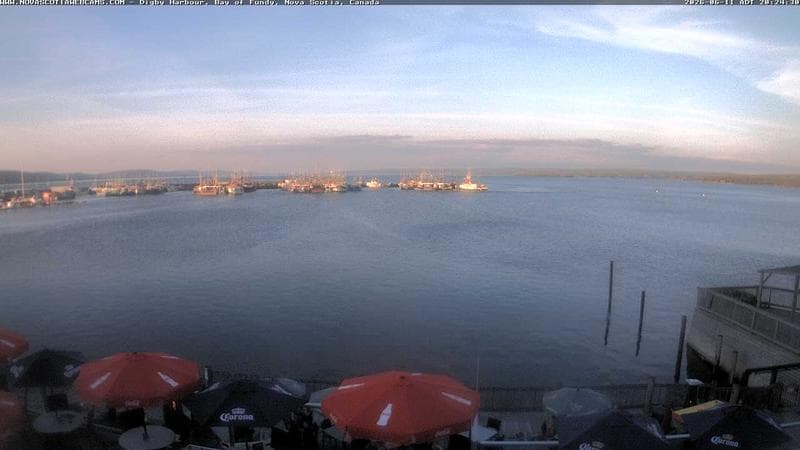 Digby Harbour