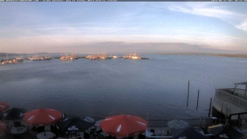 Digby Harbour