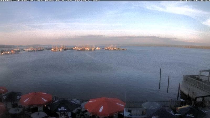 Digby Harbour