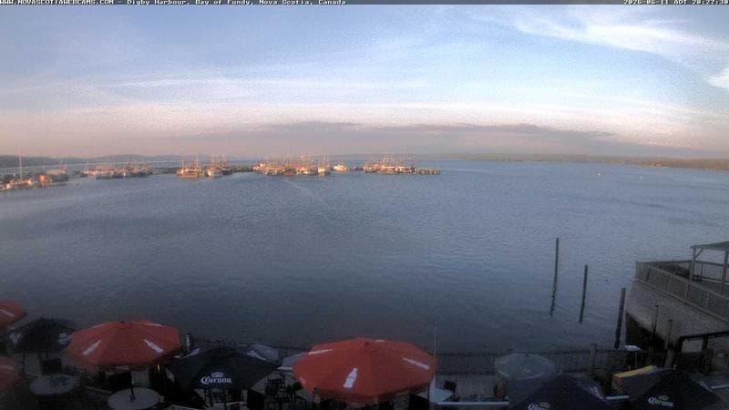 Digby Harbour