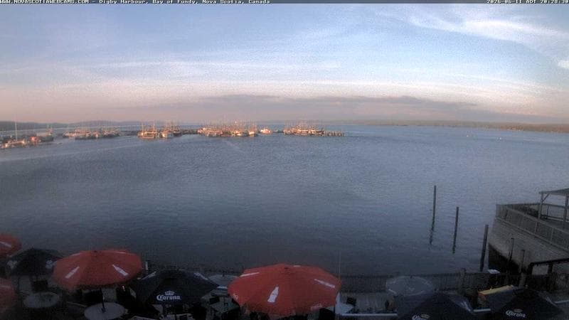 Digby Harbour