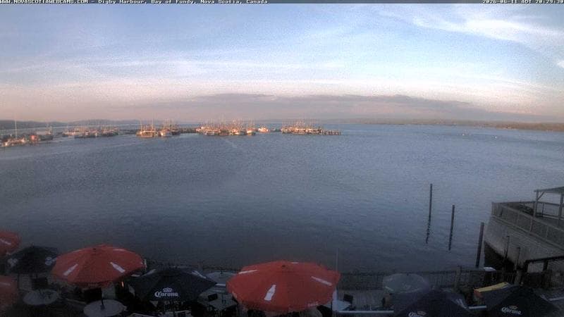 Digby Harbour