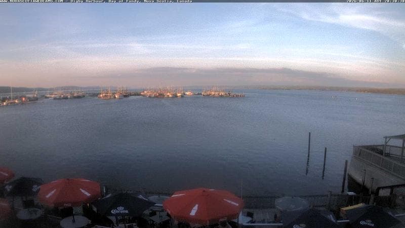 Digby Harbour
