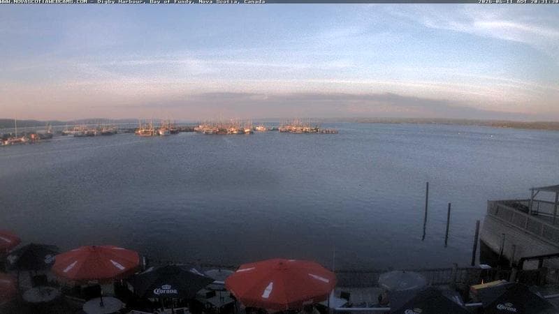 Digby Harbour
