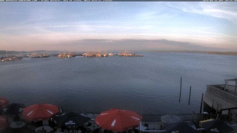 Digby Harbour