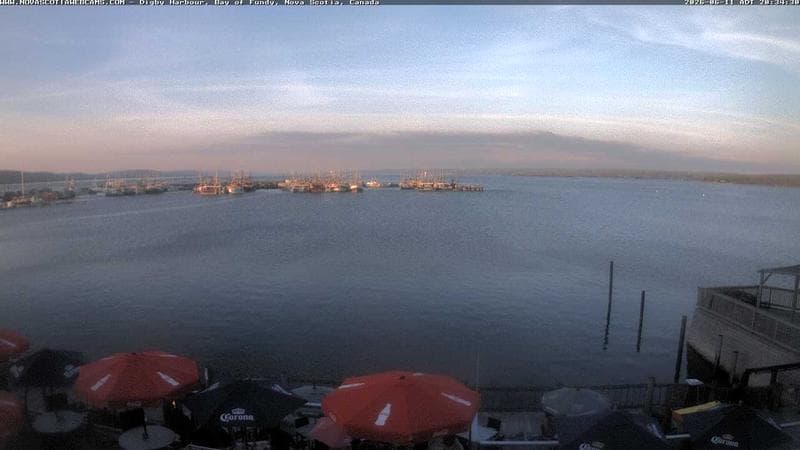 Digby Harbour
