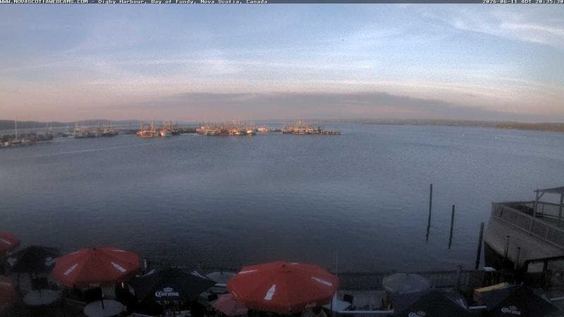 Digby Harbour