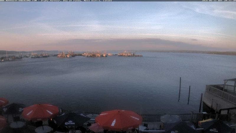 Digby Harbour