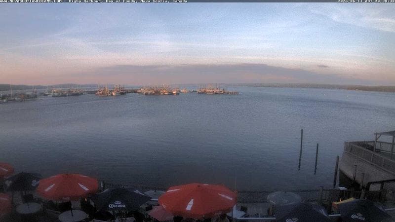 Digby Harbour