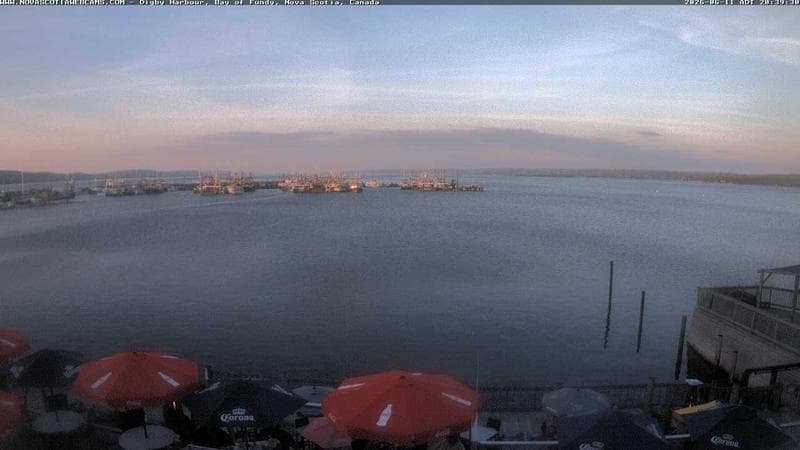 Digby Harbour