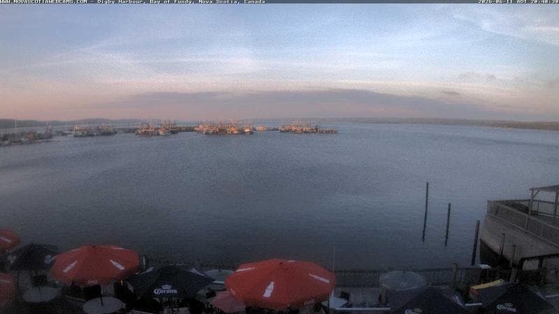 Digby Harbour