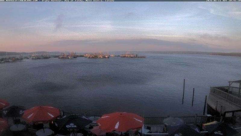 Digby Harbour