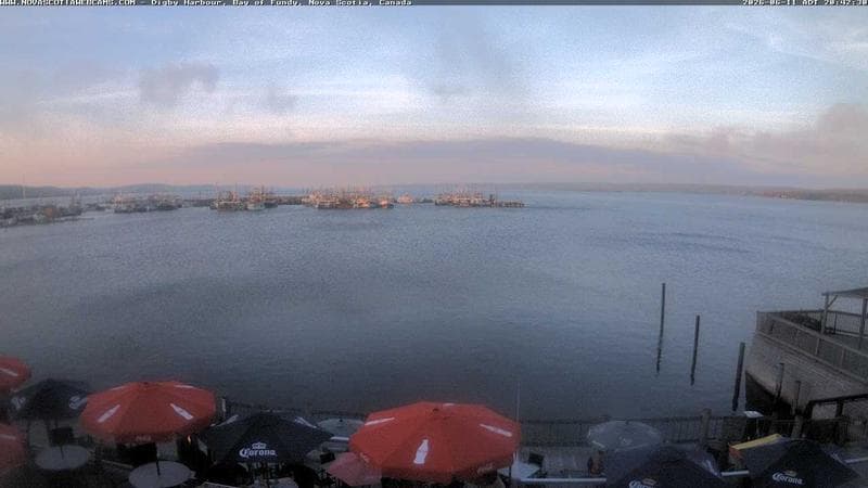 Digby Harbour
