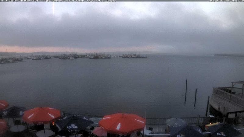 Digby Harbour