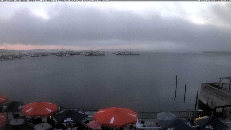 Digby Harbour