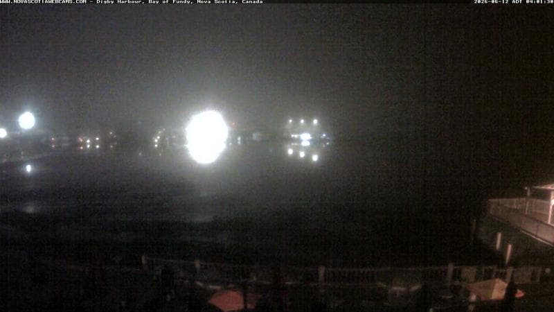 Digby Harbour