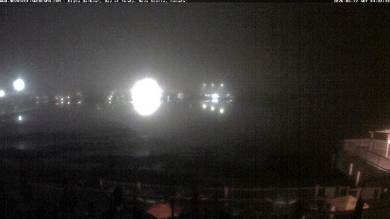 Digby Harbour