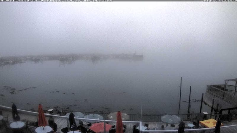 Digby Harbour