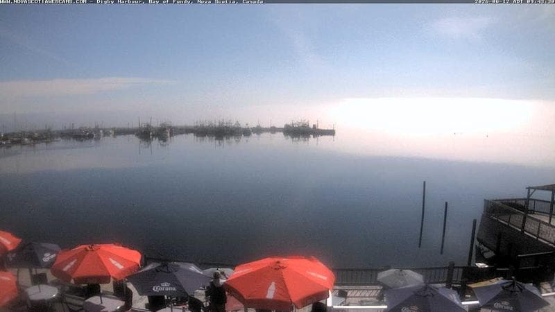 Digby Harbour