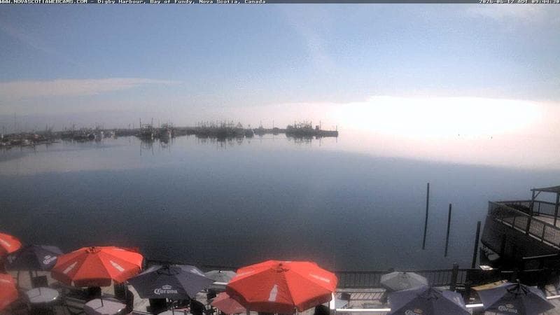 Digby Harbour