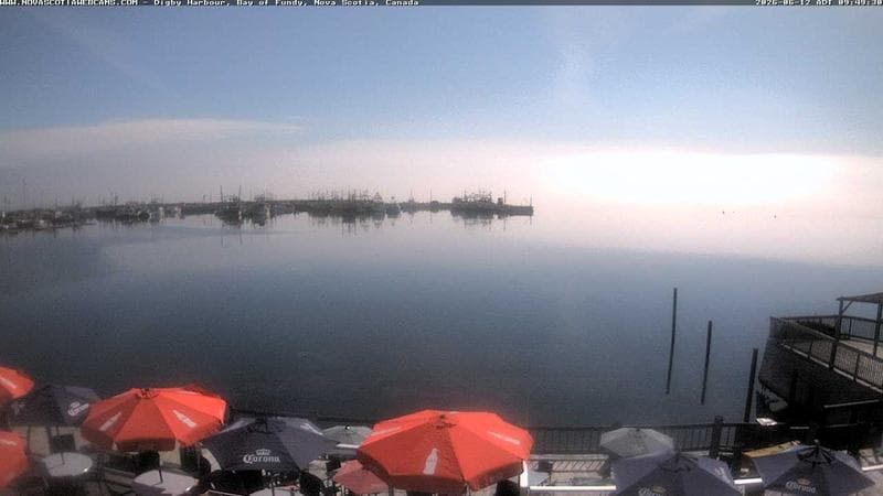 Digby Harbour