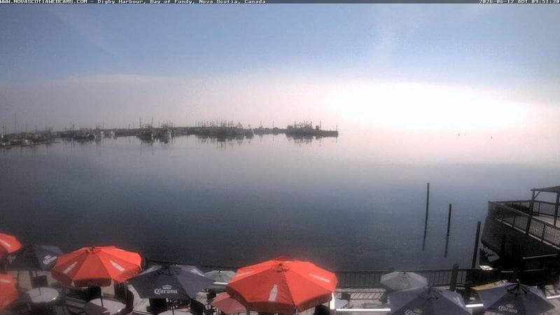 Digby Harbour