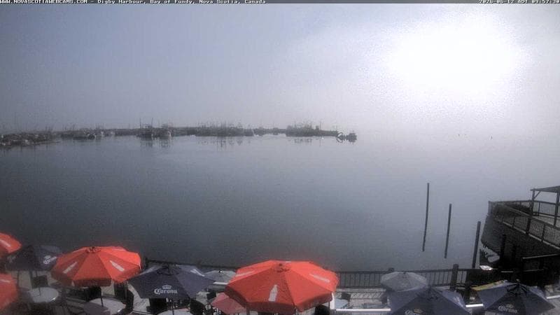 Digby Harbour