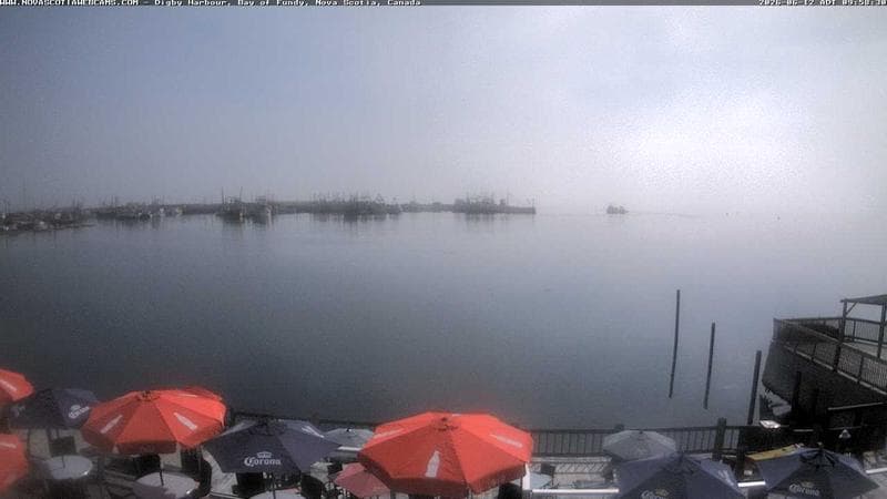 Digby Harbour