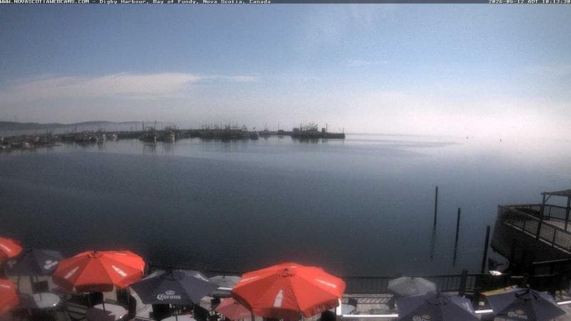 Digby Harbour