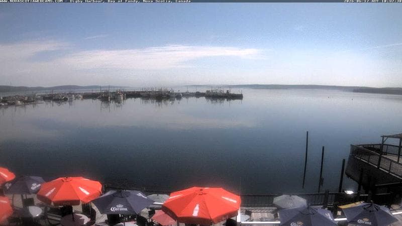 Digby Harbour