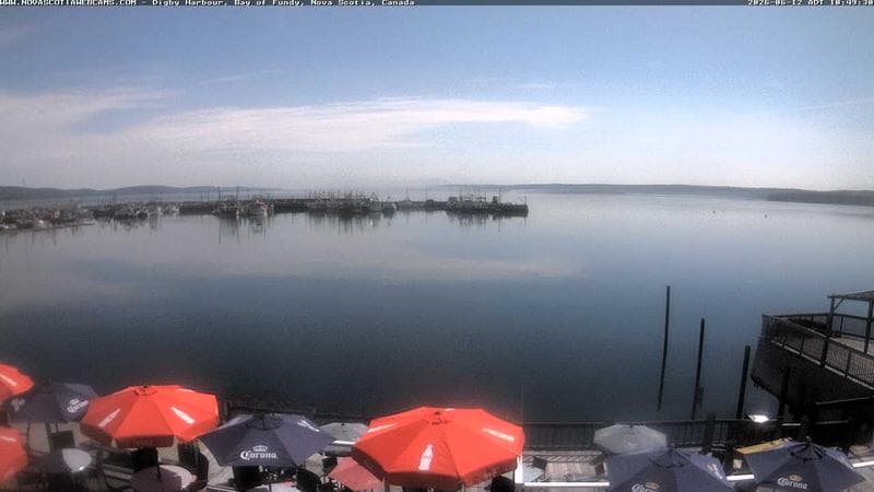 Digby Harbour