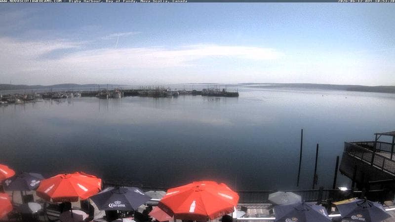 Digby Harbour