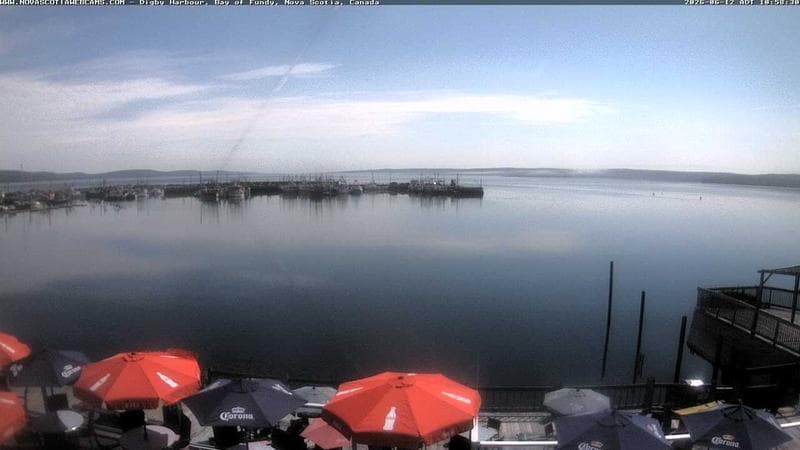 Digby Harbour