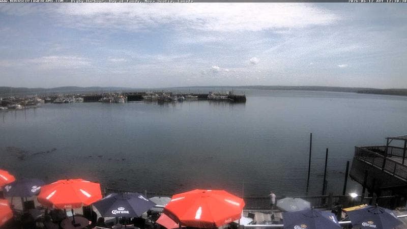 Digby Harbour