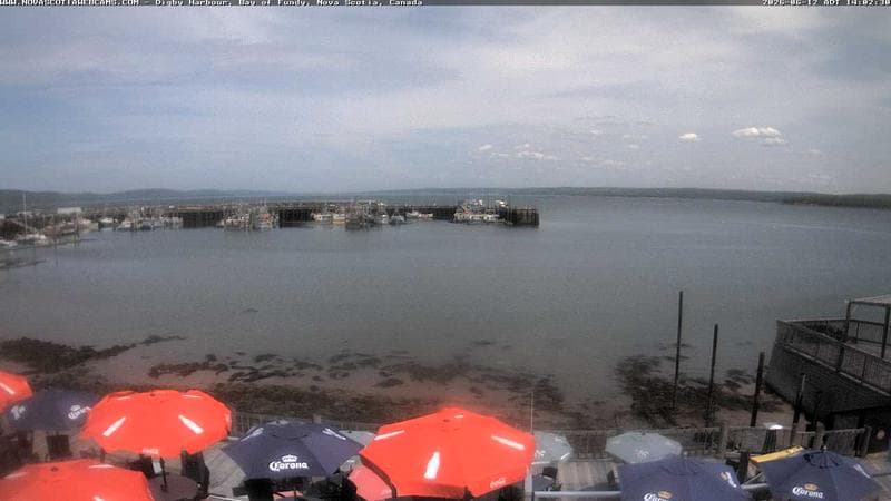 Digby Harbour