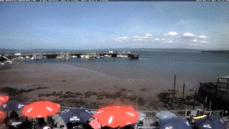 Digby Harbour