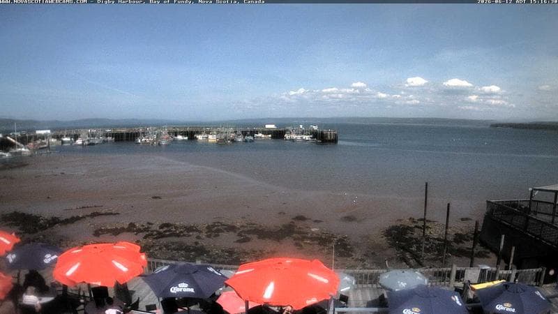 Digby Harbour