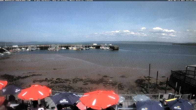 Digby Harbour