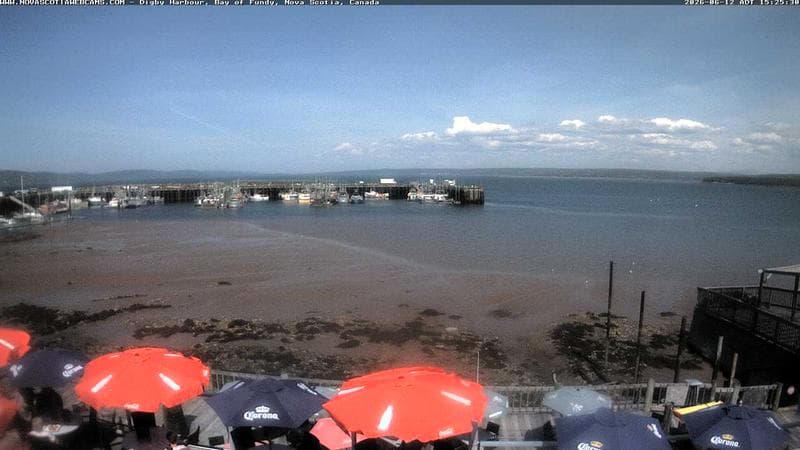 Digby Harbour