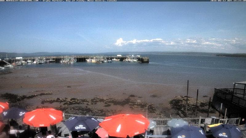Digby Harbour